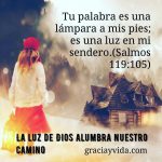 Postales-Dios ilumina mi camino