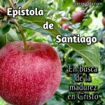 Libro de Santiago - Comentario Bíblico Devocional de la Epístola