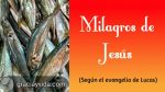 Milagros de Jesús según el evangelio de Lucas
