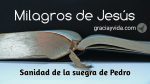 Milagros de Jesús - Sanidad de la suegra de Pedro
