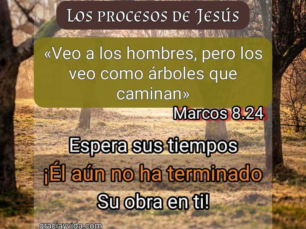 Los procesos de Jesús - Gracia y Vida - Marcos 8.22 23 24 25