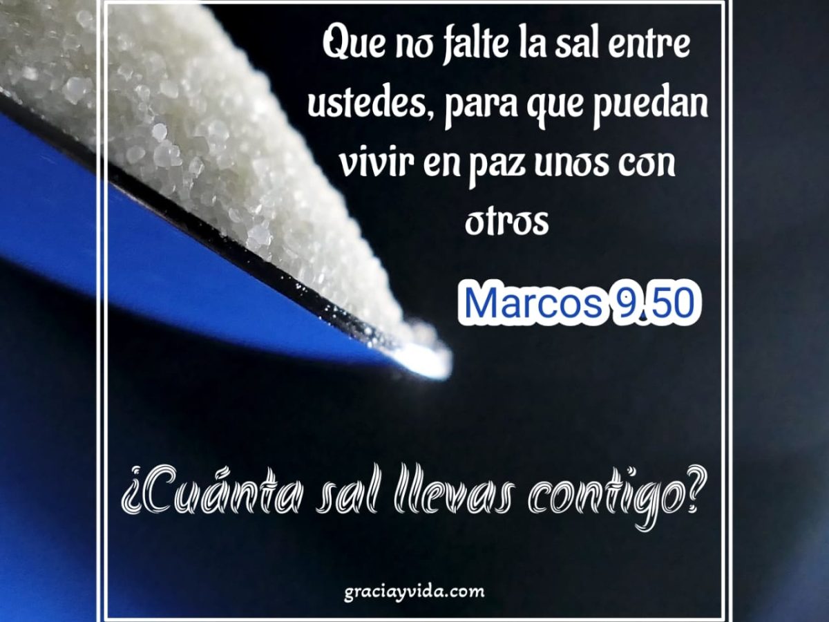 Cuánta sal llevas contigo