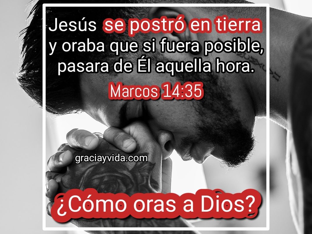 Cómo oras a Dios