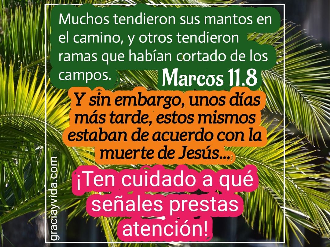 Cuidado con las señales