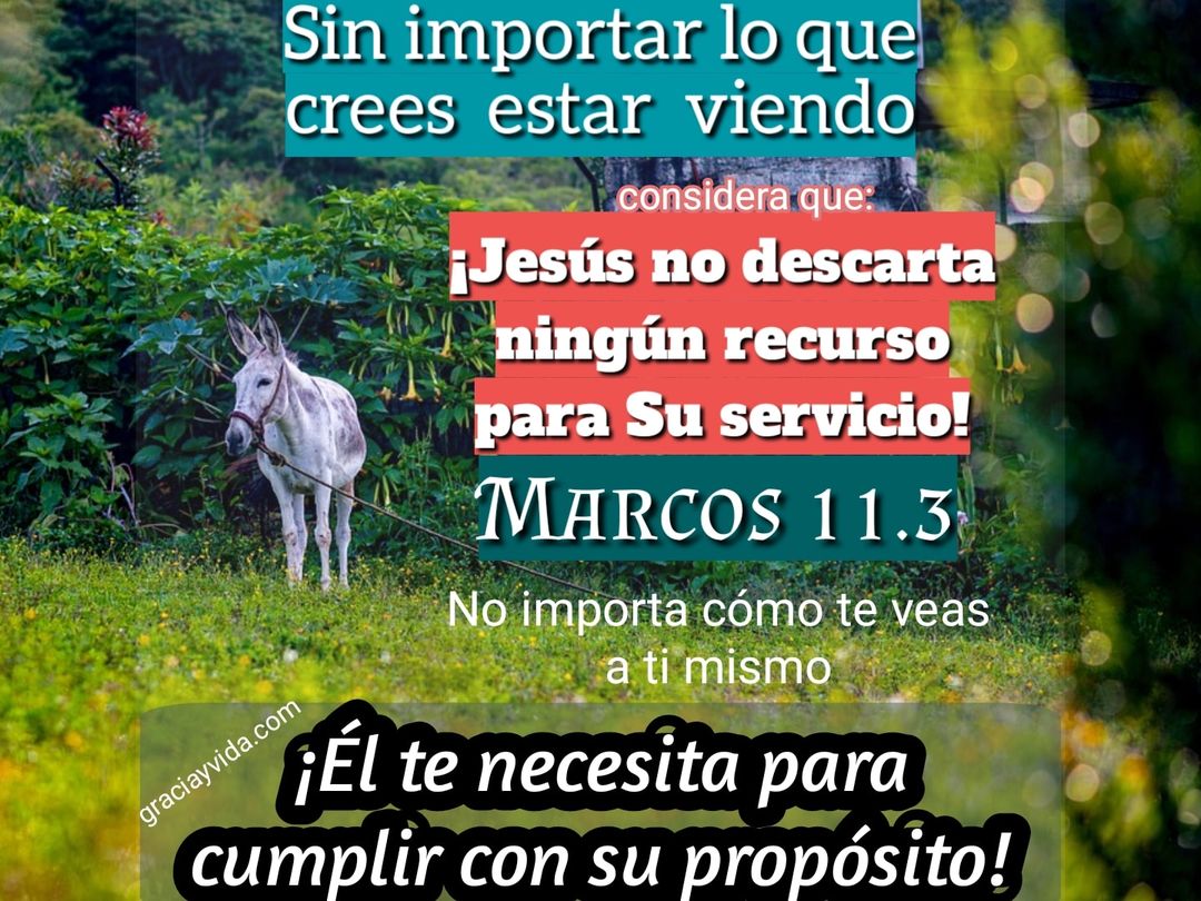 Jesús te necesita