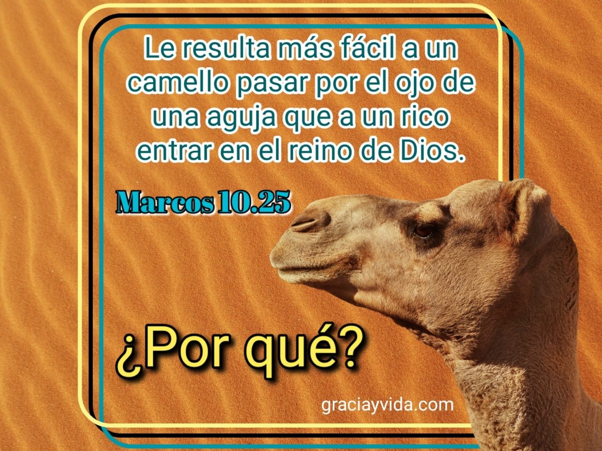 Los Ricos y el Reino de Dios