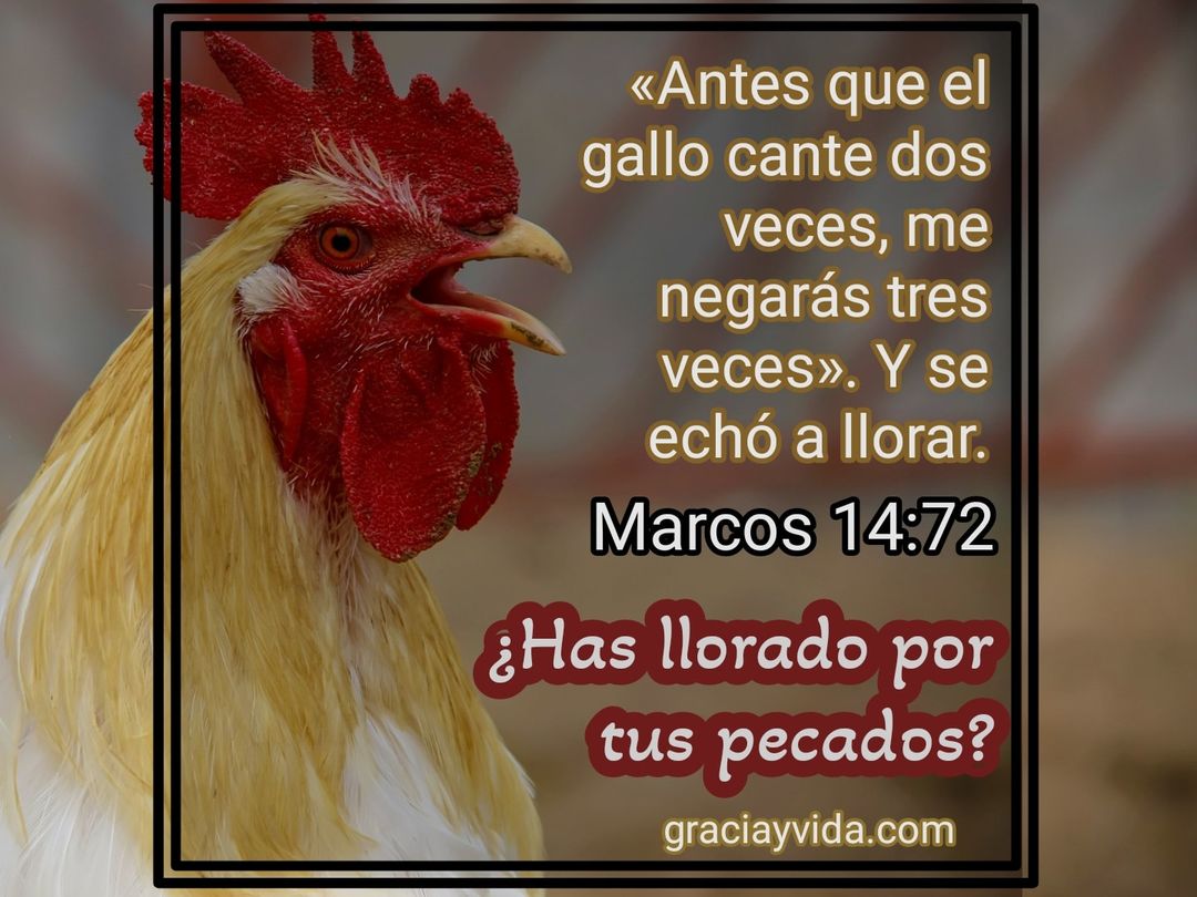 Has llorado por tus pecados