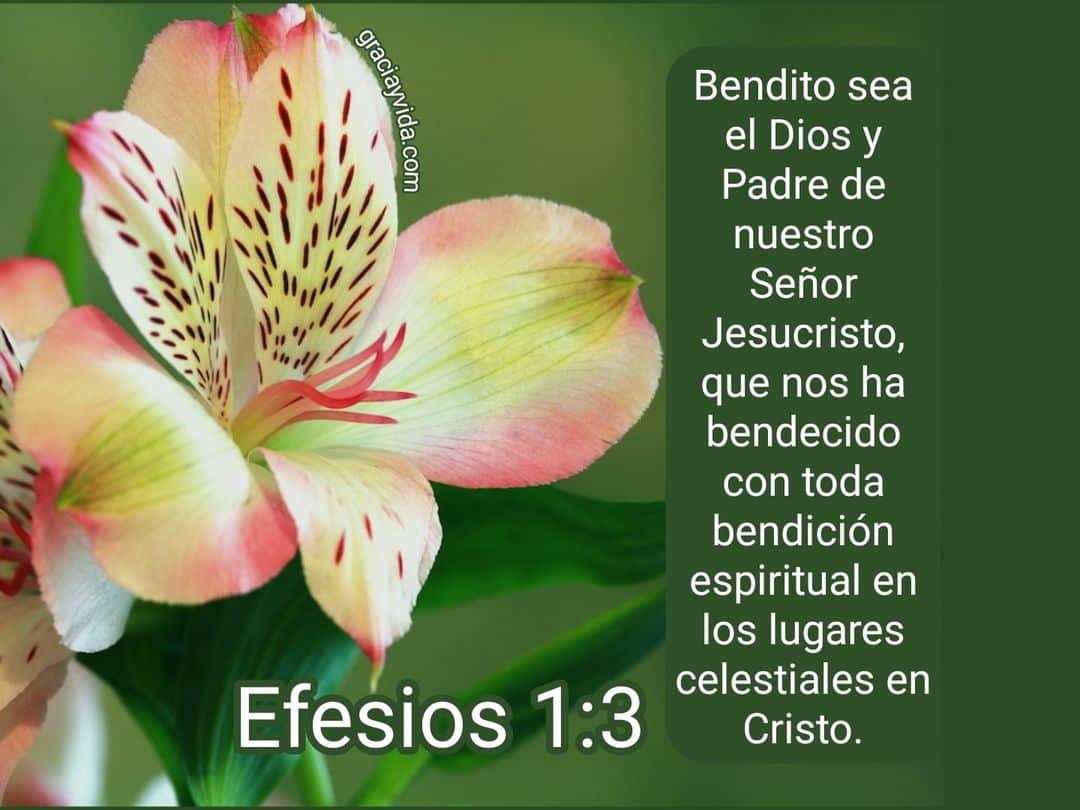 Efesios 1:3: Bendiciones Espirituales en Cristo