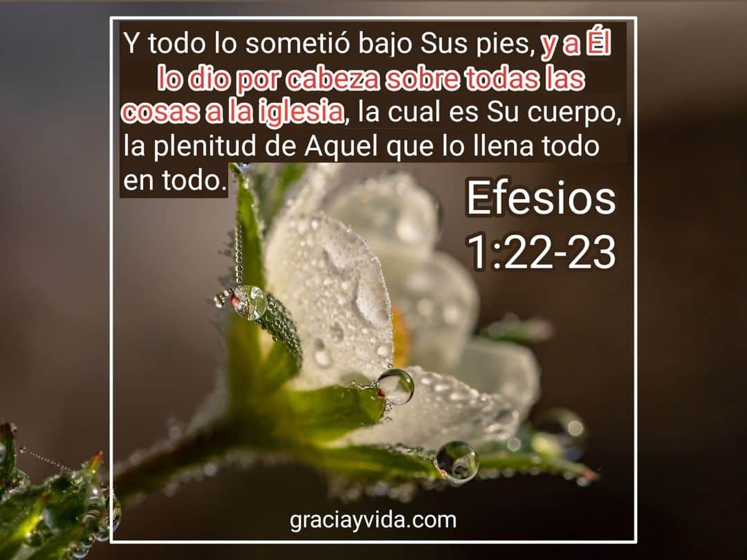 Efesios 1:22-23: Cristo es la Cabeza de la Iglesia