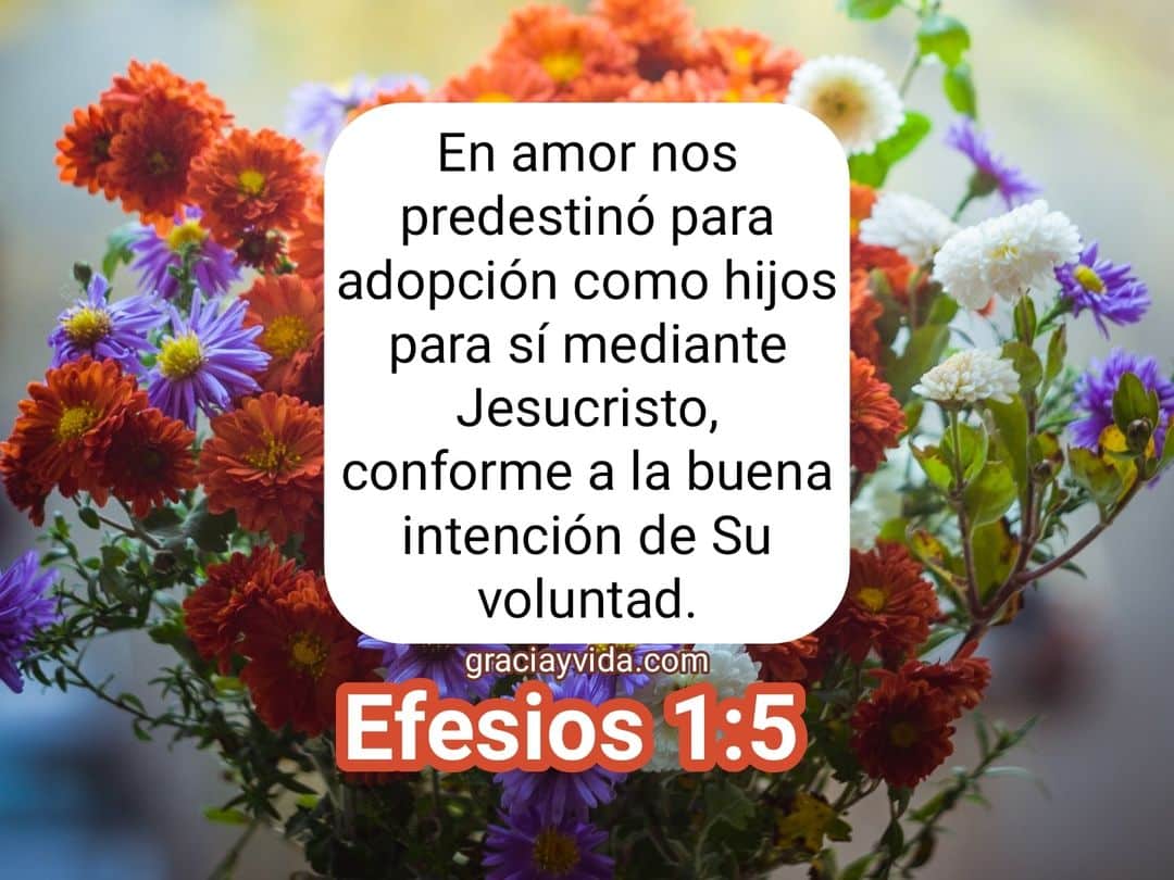 Efesios 1:5 Dios nos predestino para adopción