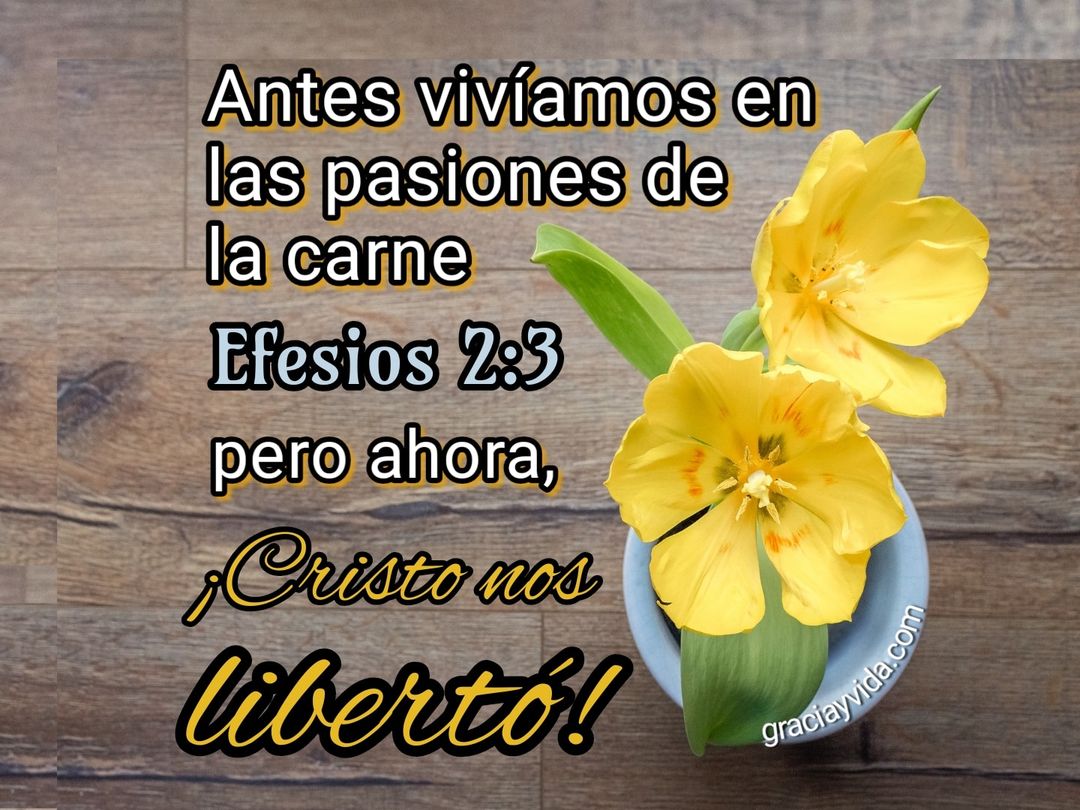 Efesios 2:3: Deseos de la naturaleza pecaminosa