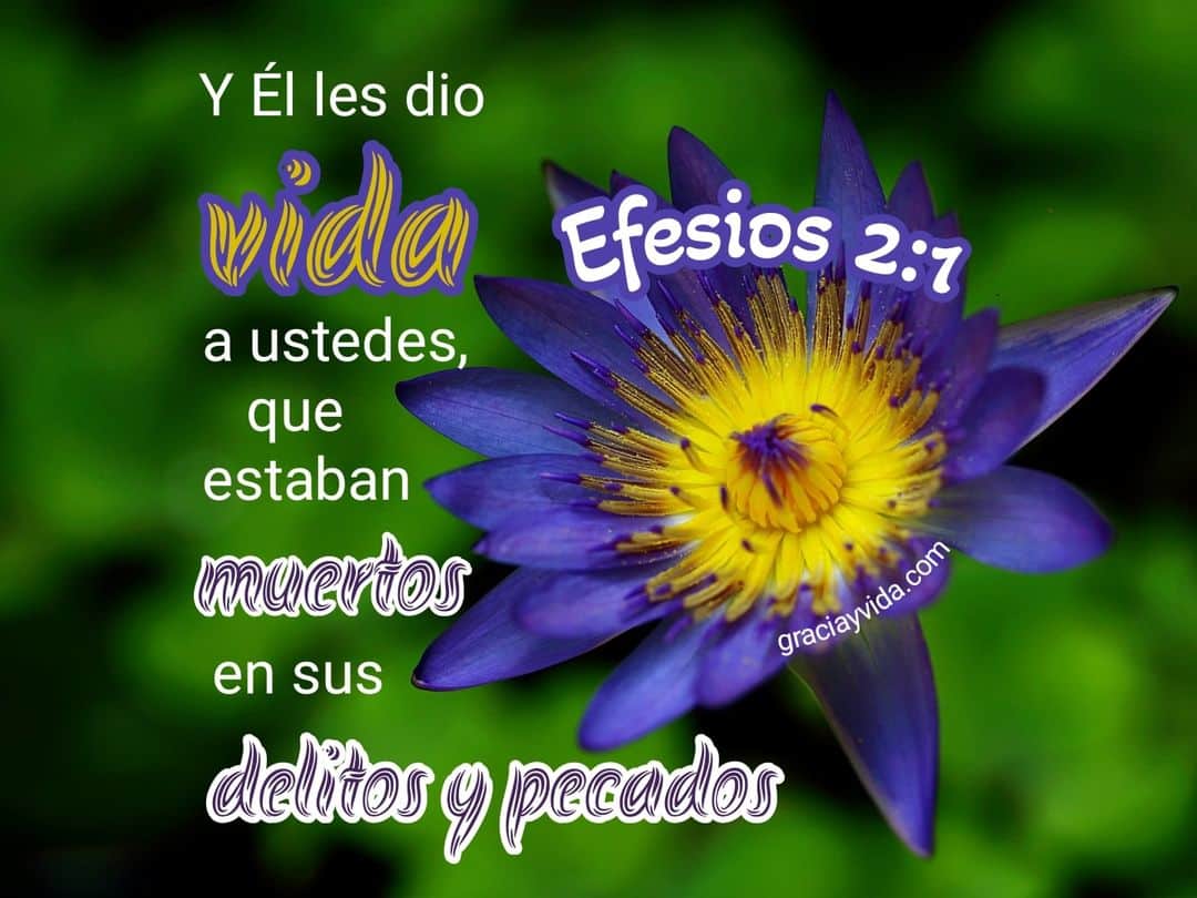 Efesios 2:1:Muertos en delitos y pecados