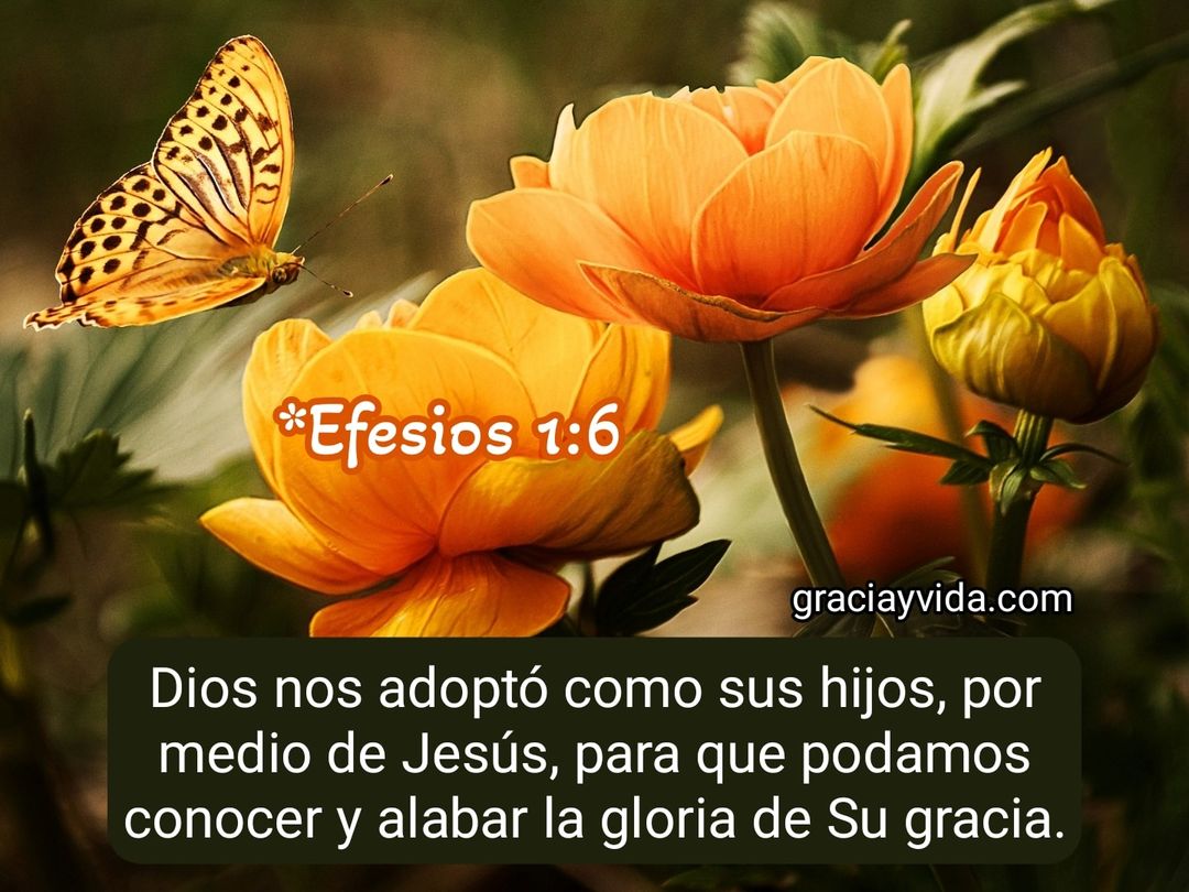 Efesios 1.6 Gracia Gloriosa en el Amado