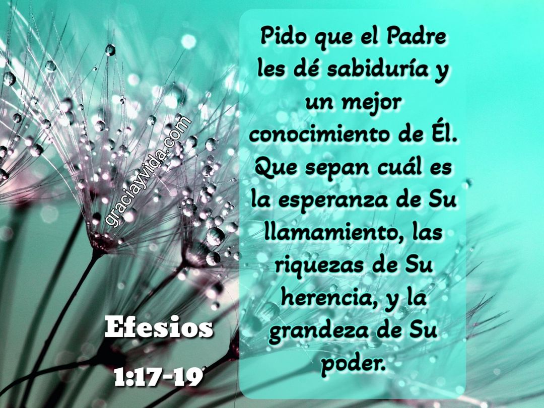 Efesios 1.17-19: Oración x sabiduría y conocimiento