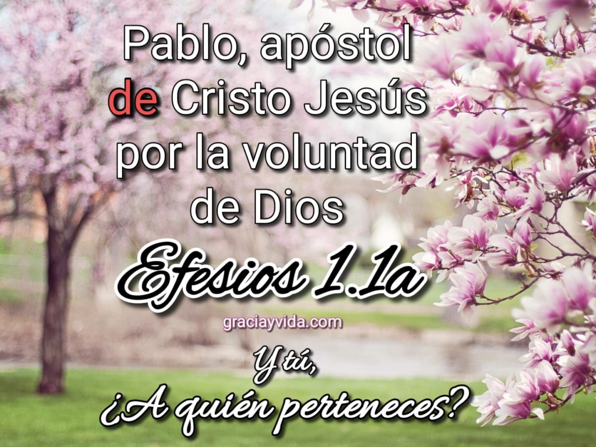 Pablo apóstol de Cristo Jesús