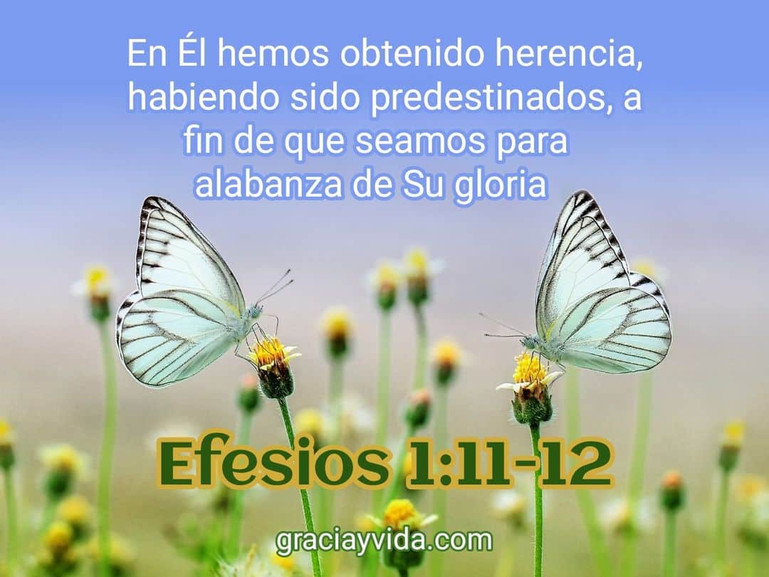 Efesios 1.11-12 Predestinados para alabar a Dios