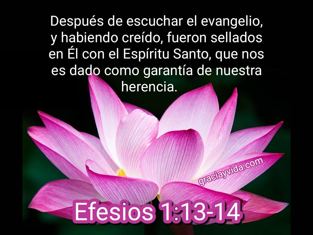 Efesios 1:13-14 Sellados con el Espíritu Santo