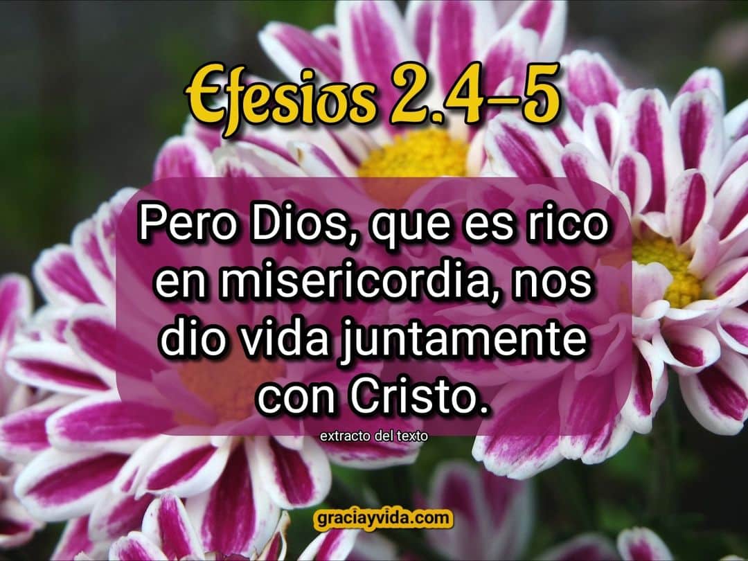 Efesios 2:4-5: Vida juntamente con Cristo