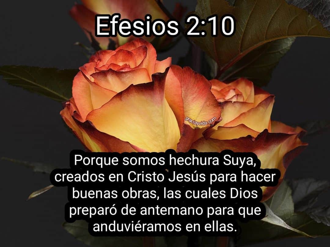 Efesios 2:10: Creados en Cristo para buenas obras