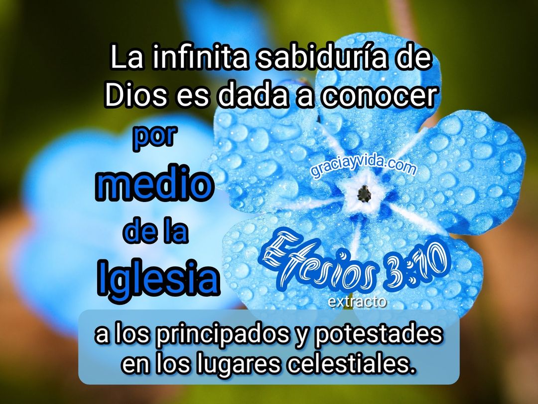 Efesios 3:10: La infinita sabiduría de Dios
