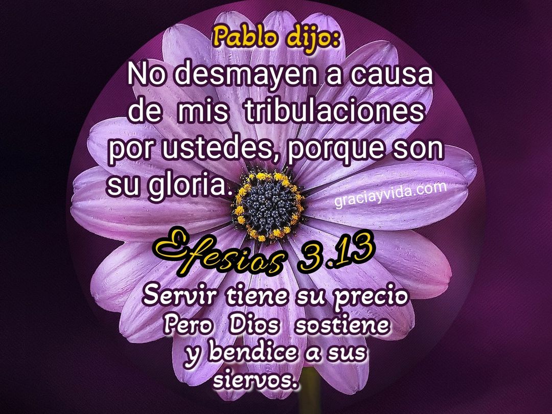 Efesios 3:13: Mis tribulaciones son su gloria