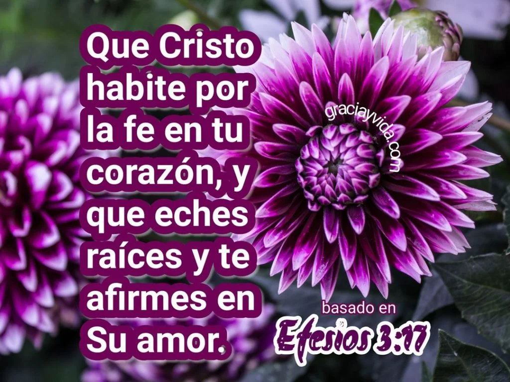 Arraigados y cimentados en amor