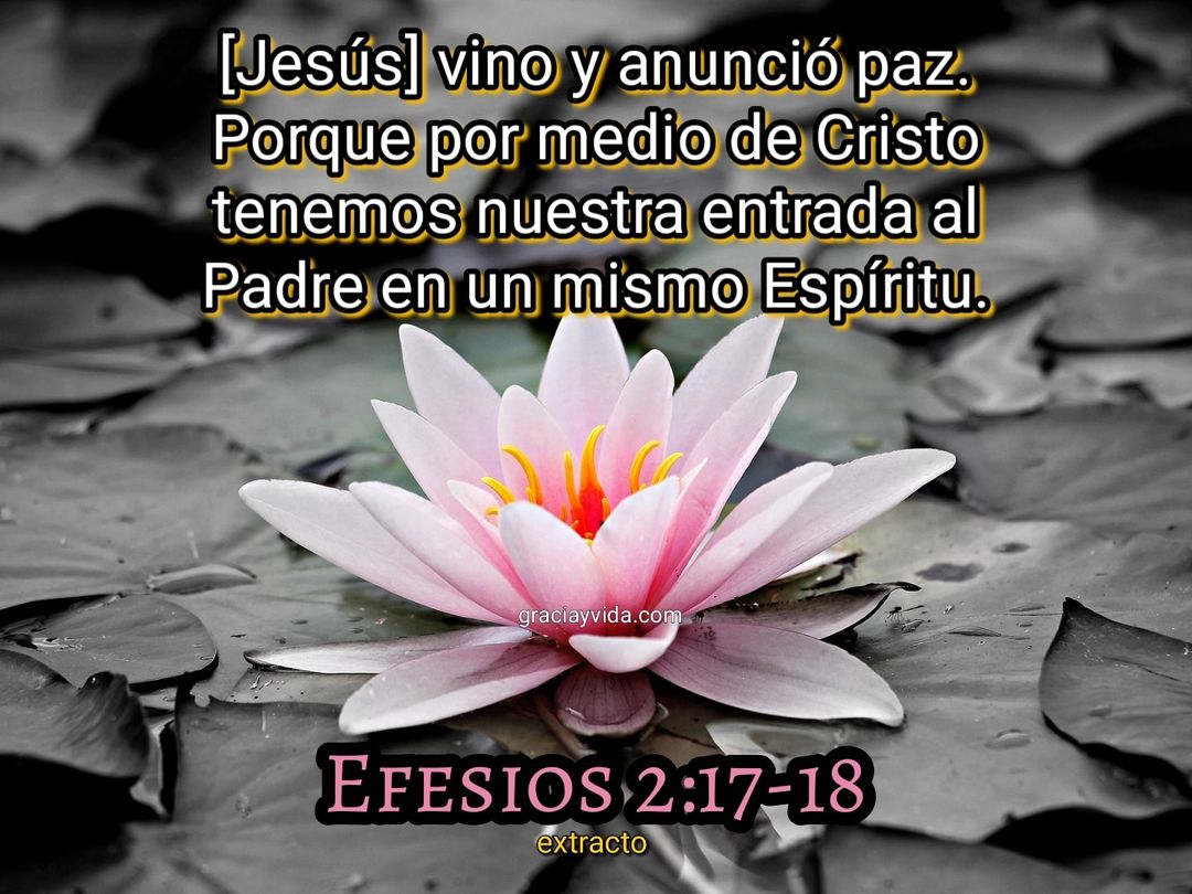 Efesios 2:17-18: Entrada al Padre por Cristo