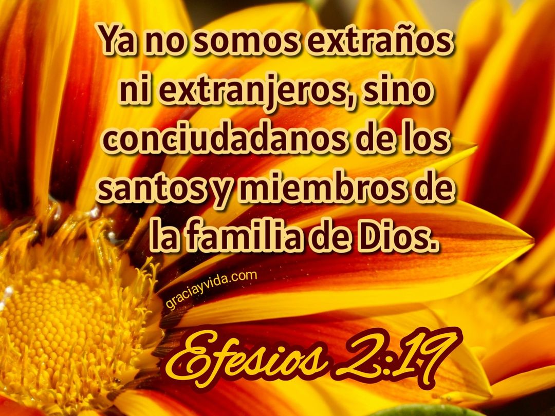Efesios 2.19: No somos extraños ni extranjeros