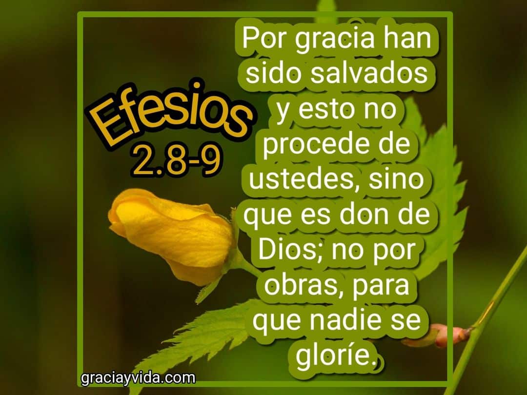 Efesios 2:8-9: Salvación por Gracia mediante la Fe