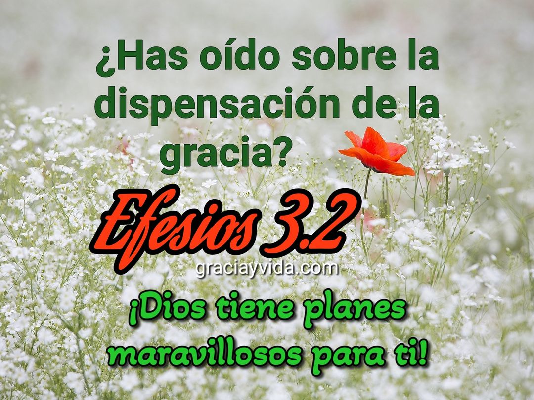 Efesios 3.2: La dispensación de la Gracia