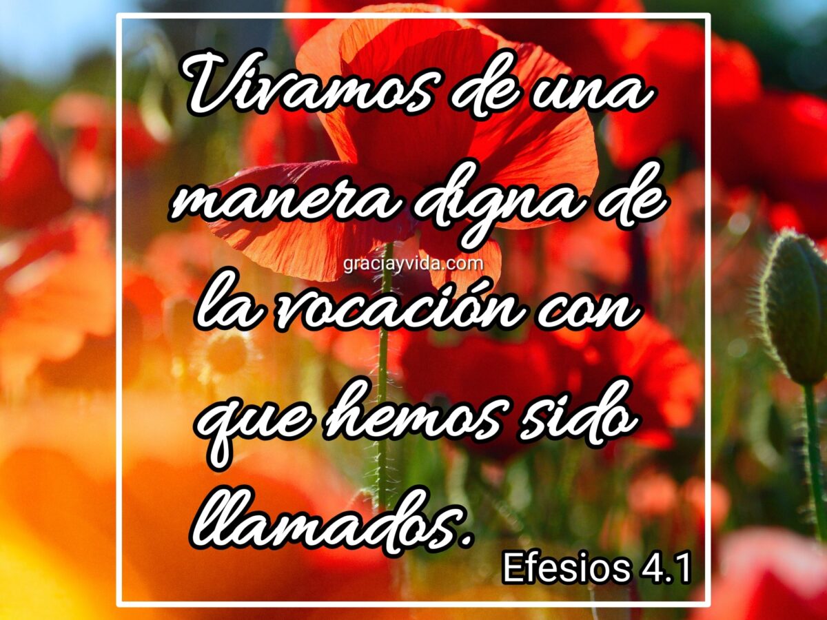 Vivan de una manera digna