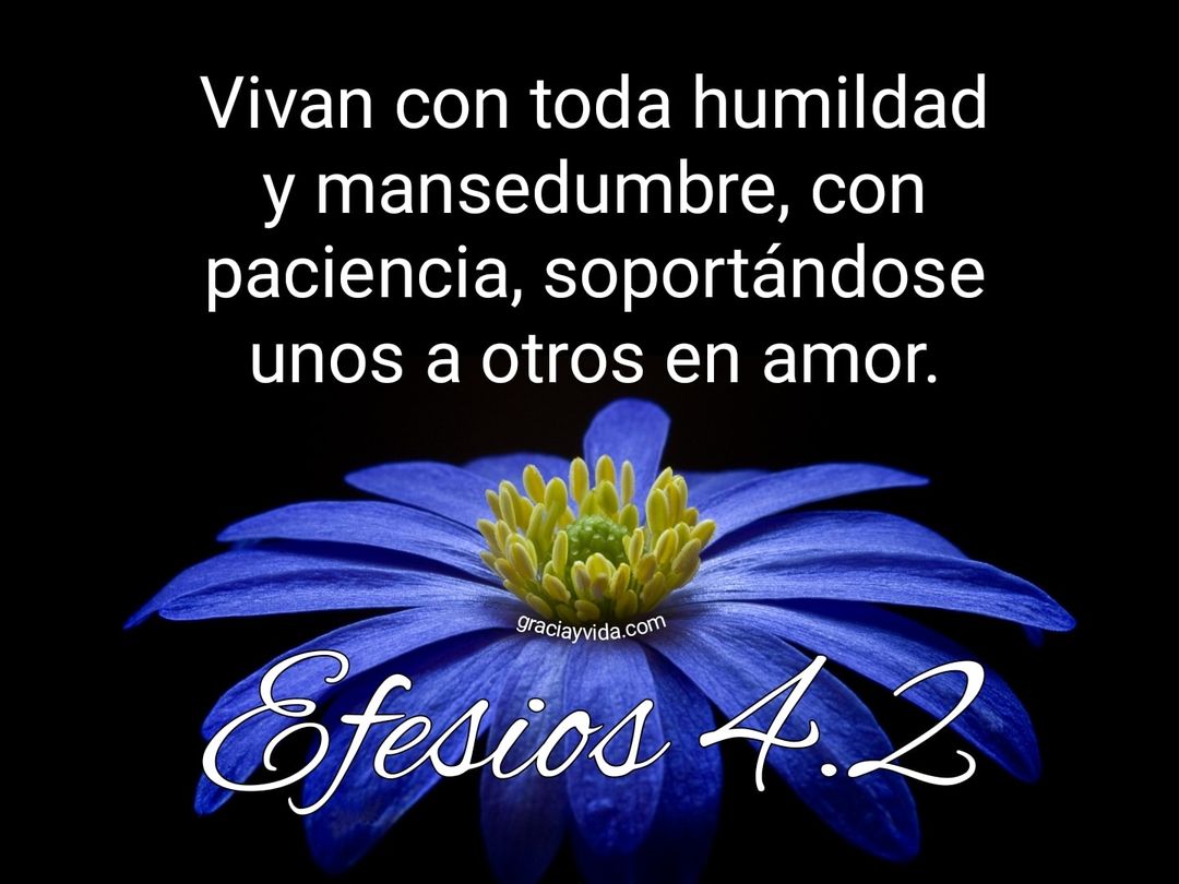 Efesios 4:2: Vivan con humildad y mansedumbre