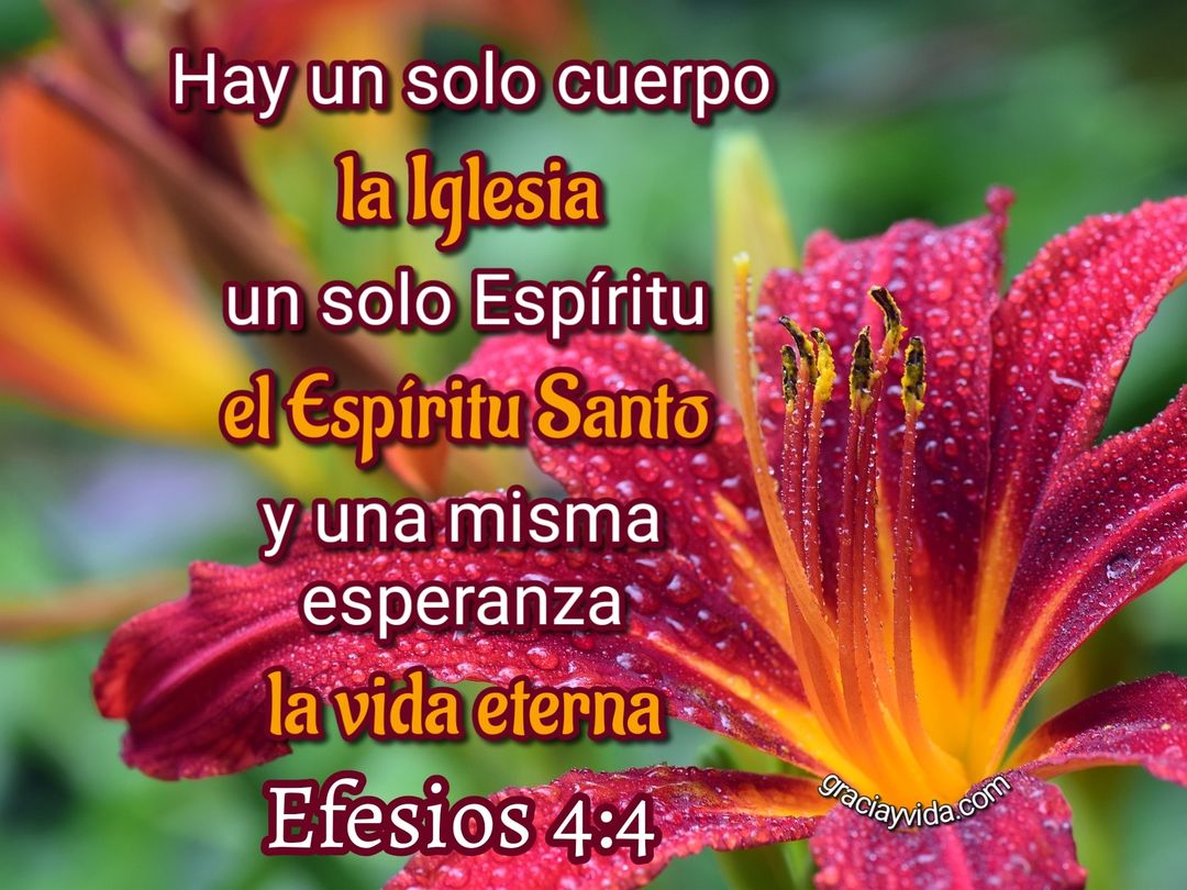 Efesios 4:4: Un Solo Cuerpo Espíritu y Esperanza en Cristo