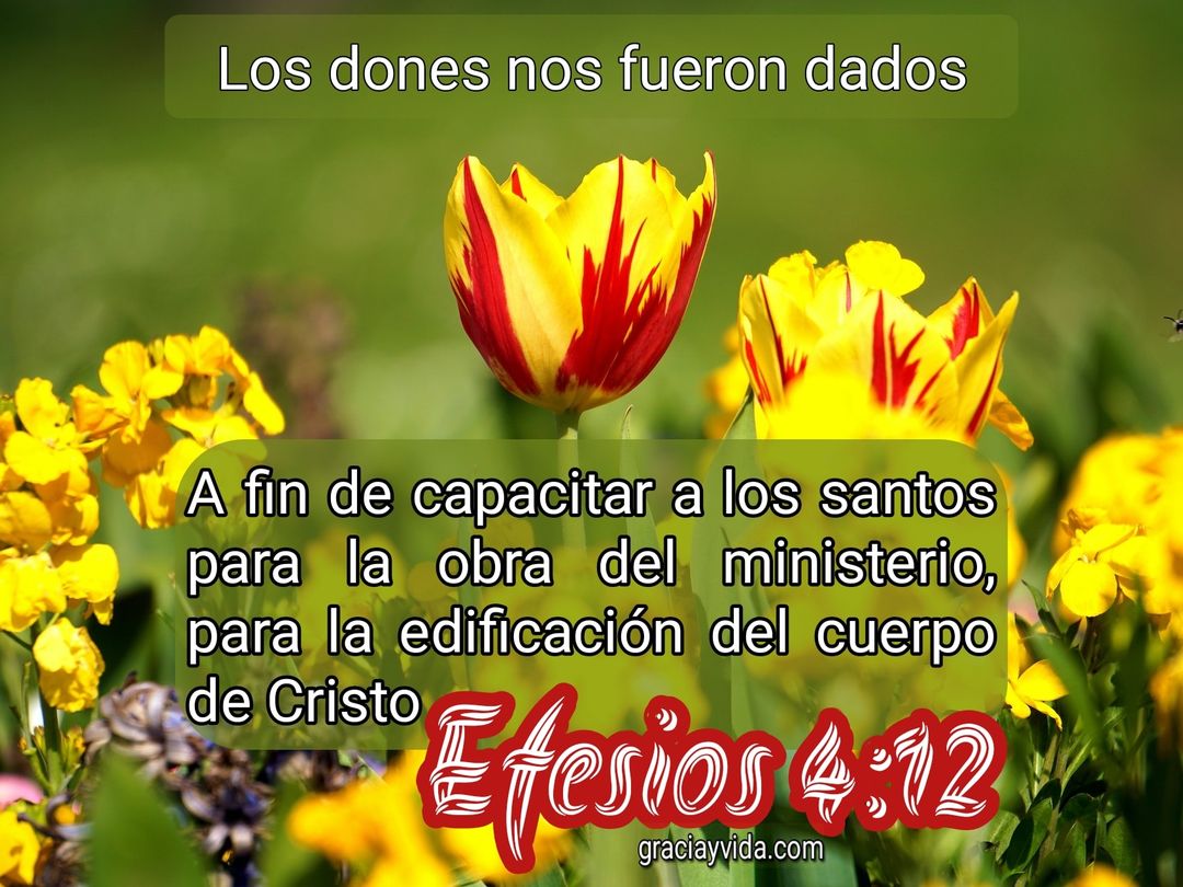 Efesios 4:12: Edificación del cuerpo de Cristo