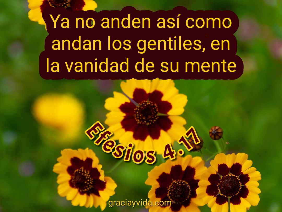 La vanidad de la mente