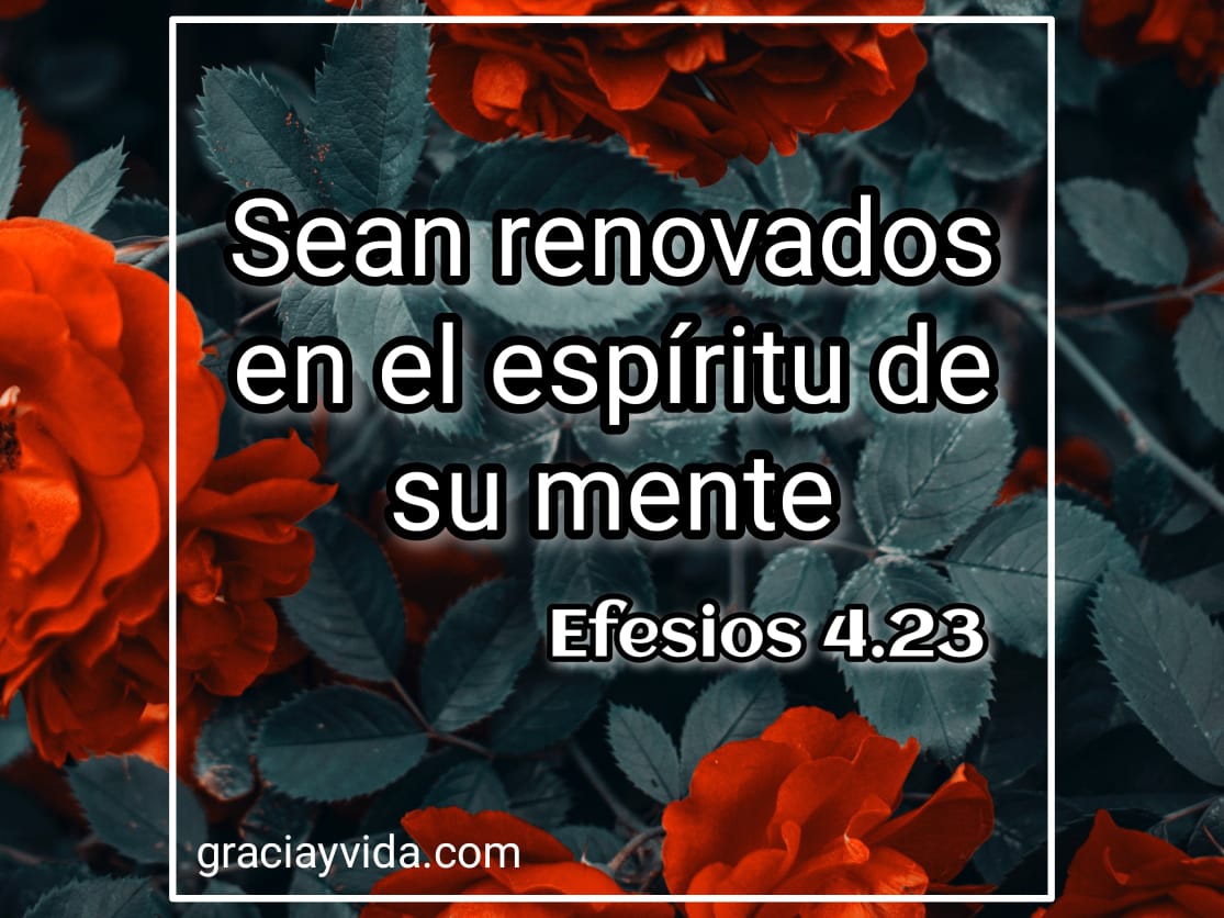 Ser renovados en el espíritu