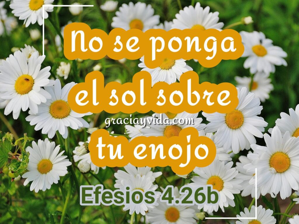 Imagen Efesios 4.26b - No se ponga el sol sobre vuestro enojo