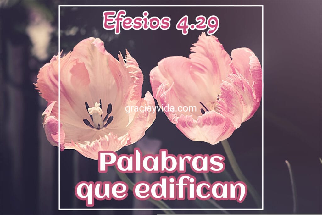 Efesios 4:29 - Palabras que Edifican