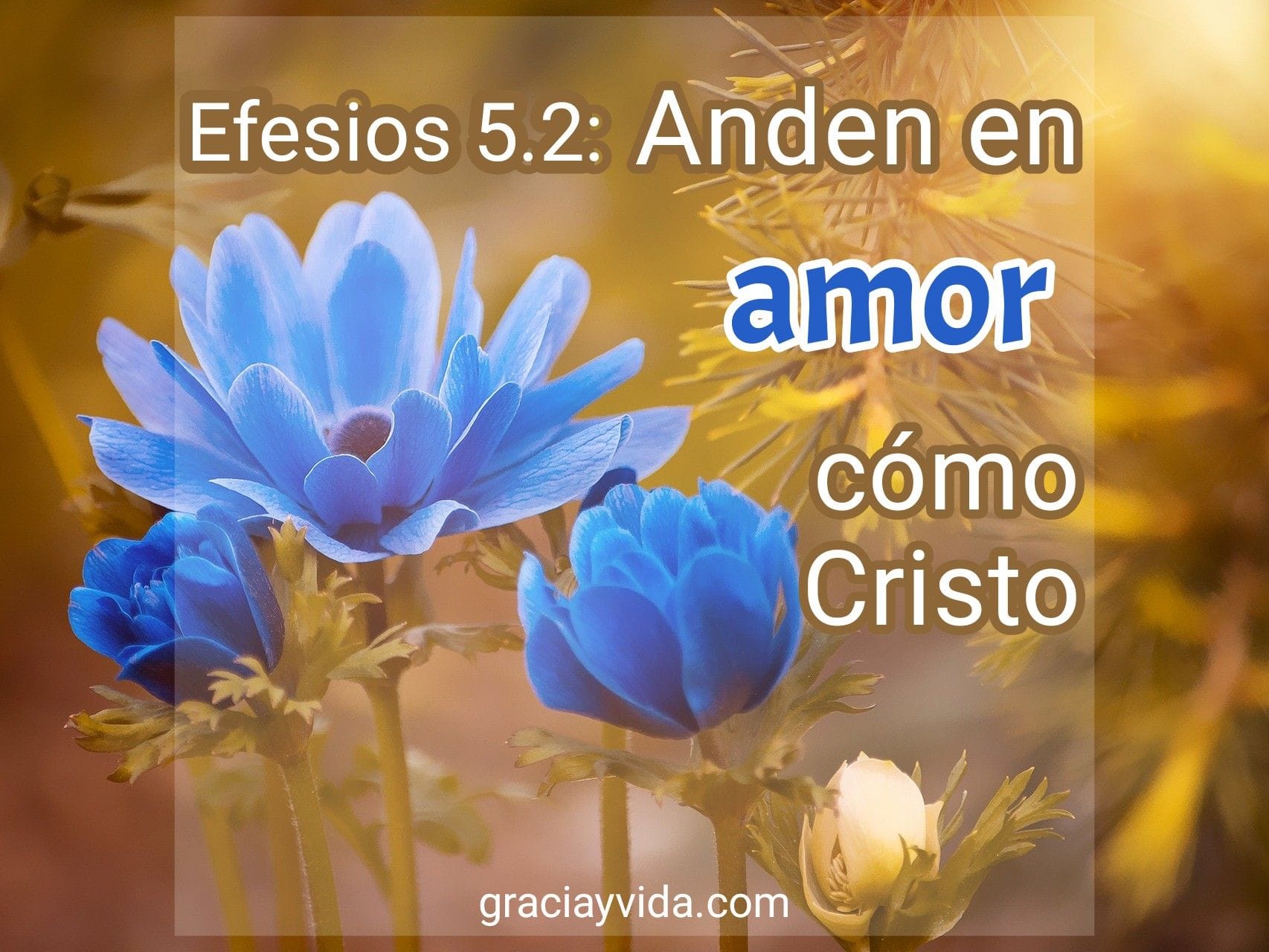 Estudio Bíblico de Efesios 5:2: Anden en amor como Cristo
