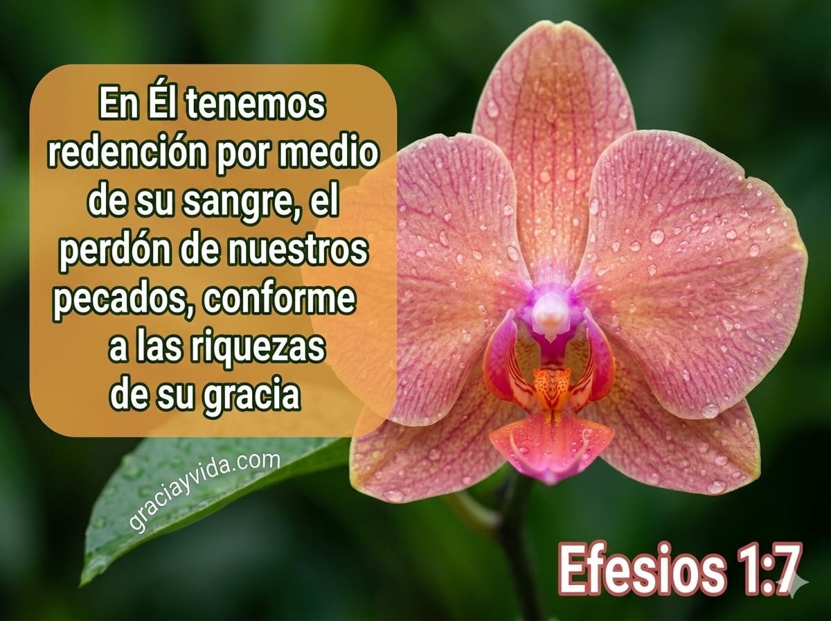 Imagen con flor orquídea y texto bíblico de Efesios 1:7 sobre la redención por la sangre de Cristo y el perdón de pecados según su gracia.